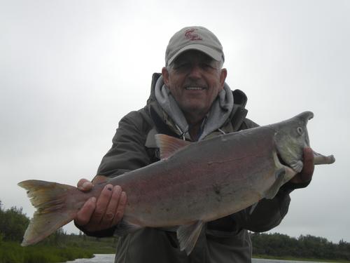 Beautiful Salmon captured by Dan Fallon Beautiful Salmon captured by Dan Fallon