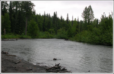Fly Fishing Guides Flies Fishermen Gear Creek 6-2016 Fly Fishing Guides Flies Fishermen Gear Creek 6-2016