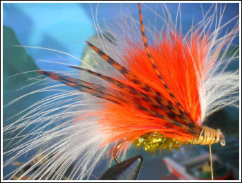 Fly Fishing Guides Flies Fishermen Gear Trump 2016 Streamer 1-2016