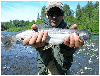 Fly Fishing Guides Flies Fishermen Gear Alaska Arctic Char 7-2011