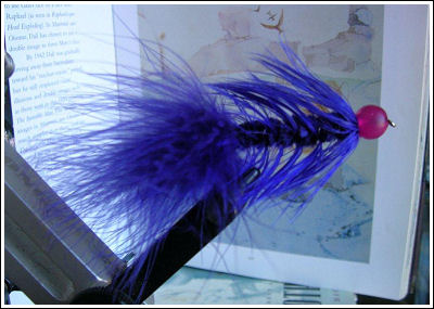 Fly Fishing Guides Flies Fishermen Gear Blue Sucking Leach 9-2011