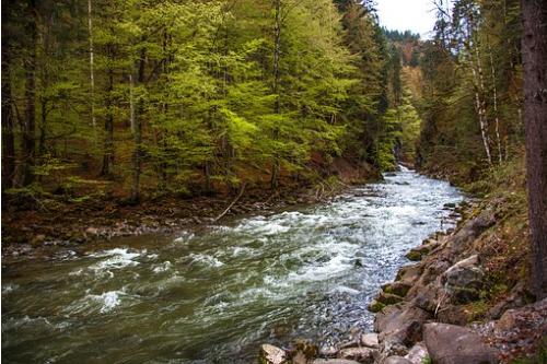 Fly Fishing Guides Flies Fishermen Gear Bait Breit 3 2018 Fly Fishing Guides Flies Fishermen Gear Bait Breit 3 2018
