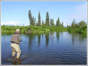 Fly Fishing Guides Flies Fishermen Gear King Salmon 12-2011