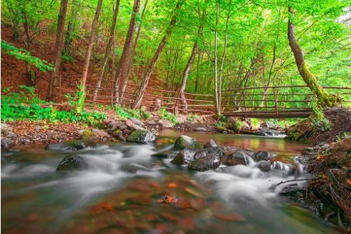 Fly Fishing Guides Flies Fishermen Gear Bait Mountain Creek 3 2018 Fly Fishing Guides Flies Fishermen Gear Bait Mountain Creek 3 2018