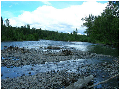 Fly Fishing Guides Flies Fishermen Gear River 8-2012