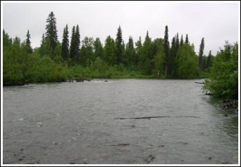 Fly Fishing Guides Flies Fishermen Gear stream 6-2012