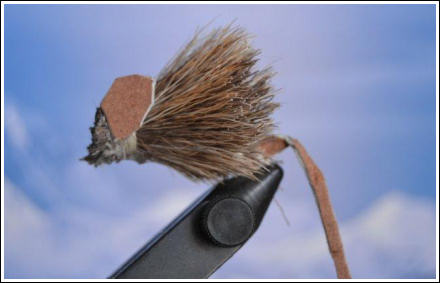 Fly Fishing Mouse Magic