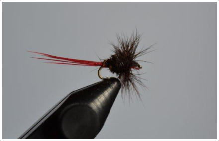 Fly Fishing Guides Flies Fishermen Gear Wolf Royal Varient 2-2015
