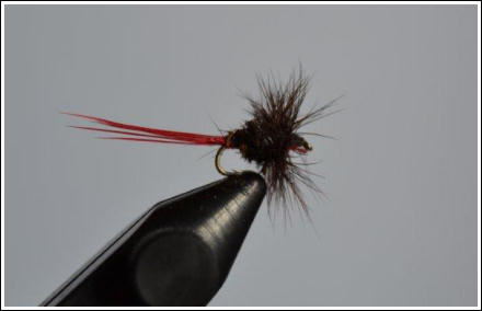 Fly Fishing Guides Flies Fishermen Gear Wolf Royal Varient 2-2015 Fly Fishing Guides Flies Fishermen Gear Wolf Royal Varient 2-2015