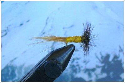 Fly Fishing Guides Flies Fishermen Gear Yellow Varient 12-2010