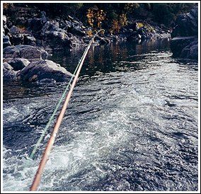 The Eternal Fly Line Tippet and Fly Setup