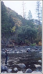 Winter Yosemite Fly Fishing